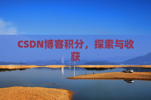 CSDN博客积分，探索与收获